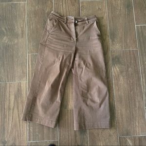 Everlane Wide Leg Crop Pants in Tan